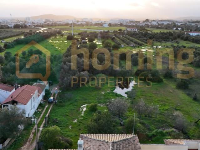 Quinta para venda em Salir Algarve