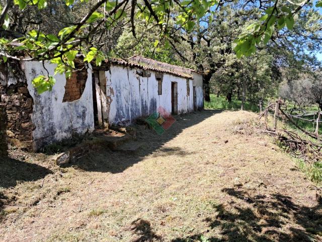 Quinta, para venda, Marvão S. Salvador da Aramenha