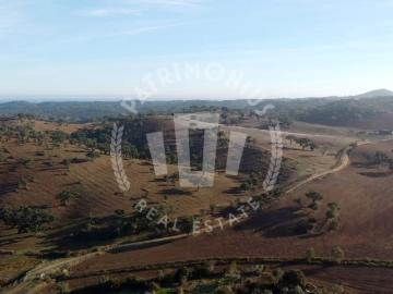 Refúgio no Alentejo: Quinta com Terreno Vedado, Piscina e Vista Desafogada