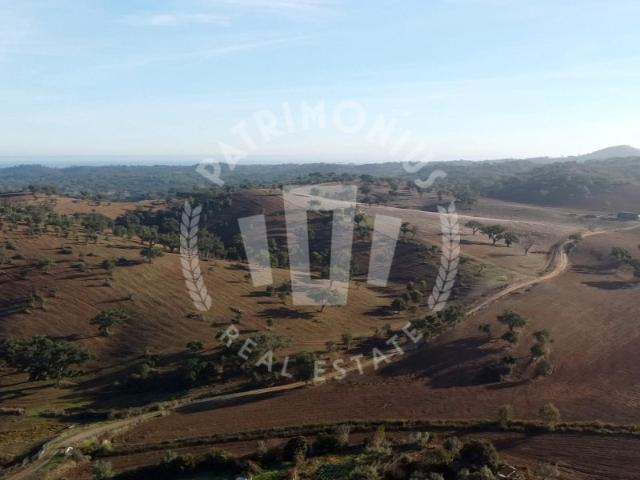 Refúgio no Alentejo: Quinta com Terreno Vedado, Piscina e Vista Desafogada