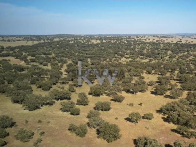 QUINTA PARA VENDA PROXIMO DE ESTREMOZ