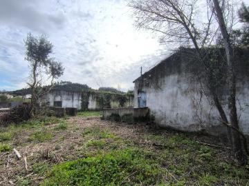Quinta, para venda, Rio Maior Asseiceira