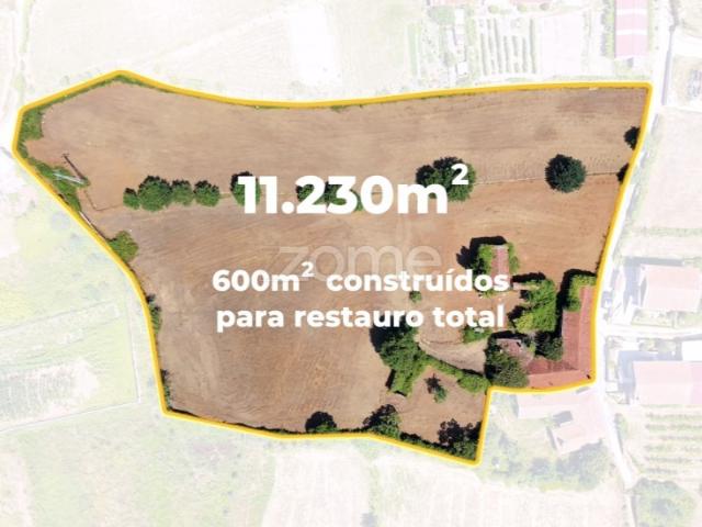 Quinta para Investimento | junto ao Rio Caima | Ossela OAZ