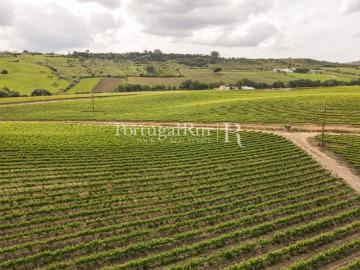 Quinta para produção de vinho com 36 hectares 570m² Castanheira do ribatejo e cachoeiras