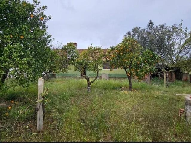 Quinta para Reconstrução a 25 Min das Praias da Comporta 250m² Grândola e Santa Margarida da Serra
