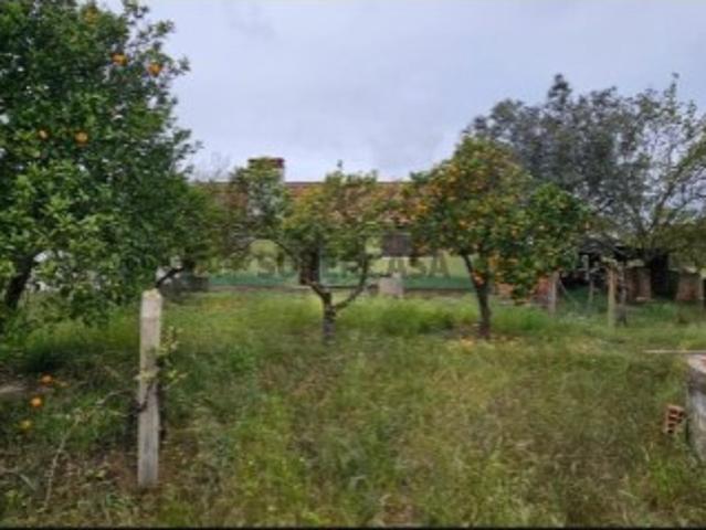 Quinta para Reconstrução a 25 Min das Praias da Comporta