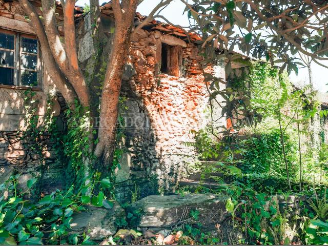 Quinta para reconstrução ou nova construção em Arco do Baúlhe