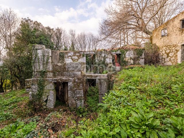 QUINTA PARA RESTAURO EM RIBEIROS fAFE