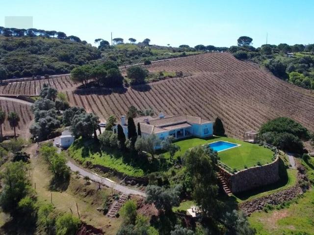 Quinta Parque Natural Arrábida 243m² Palmela
