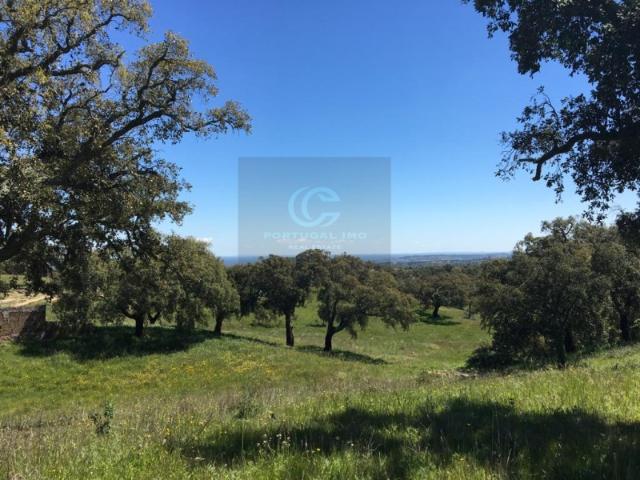 Quinta rodeada de natureza com vista panorâmica