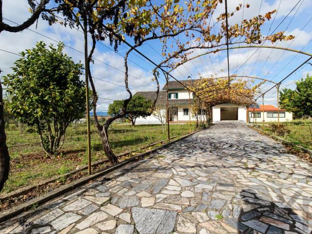 Quinta Residencial com Charme Rural, Anexos Independentes e. 295m² Midões