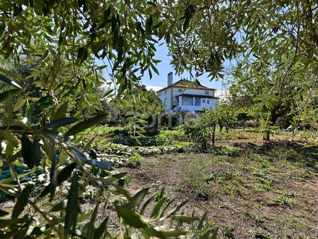 Quinta Ribeirinha em Abrantes