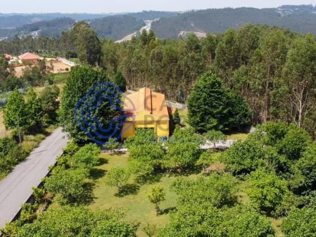 Quinta Rural com Potencial em Canedo, Santa Maria da Feira