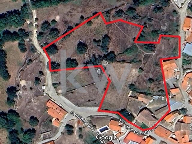 Quinta rural com 3 hectares completa com equipamentos e tractor