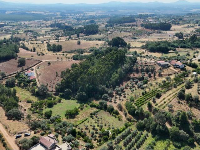 Quinta Rural Acessível com Arrecadação em Pedra e Mais de 6640m² de Terreno 39950 euros