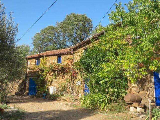 Quinta rural em Figueiró dos Vinhos e Bairradas de 330 m²