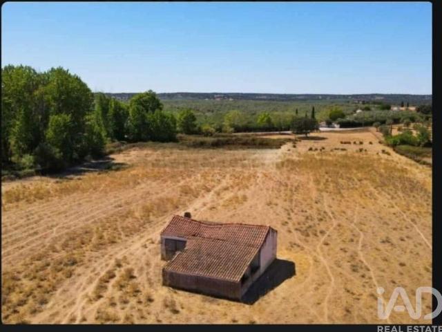 Quinta rural em Montargil de 55 m²