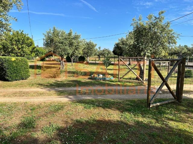 Quinta Rural em Martinchel Abrantes description in Eng 0m² Martinchel