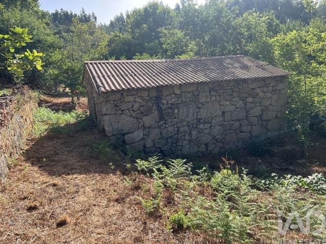 Quinta rural em Serrazes de 223 m² 223m² Serrazes