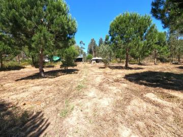 Quinta Rural Rio Maior *RIOMAGIC