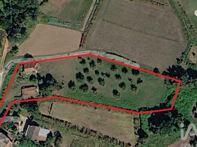 Quinta rural T3 em Fornelos e Queijada de 343,7 m² 343m² Fornelos e Queijada