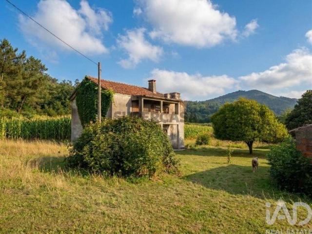 Quinta rural T3 em Fornelos e Queijada de 343,7 m²