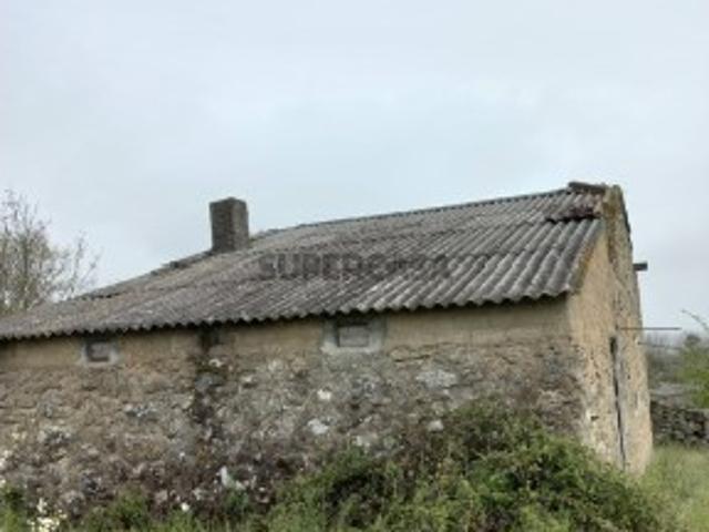 Quinta Rural, Vilar Seco Esta Quinta tem Dois Hectares de vinha em produção com castas demarcadas da região do Dão assim com de Olival, num todo são 6 hectares de terreno tem também uma casa em pedra, que poderá ser recuperada e ser casa de habitação