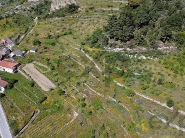 Quinta Rústica em Pegarinhos – Alijó Oportunidade única no coração do Douro Vinhateiro!