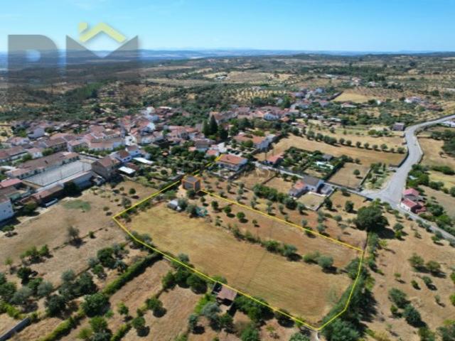 Quinta Rústica para Venda em Aldeia da Mata 5533 m²