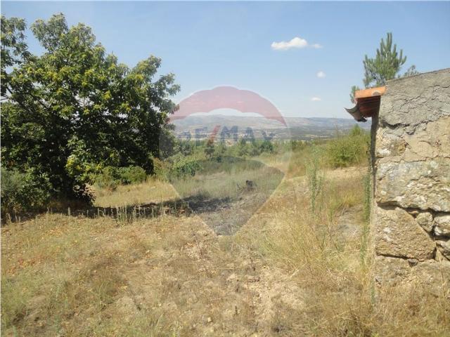 Quinta T0 à venda em Celorico da Beira