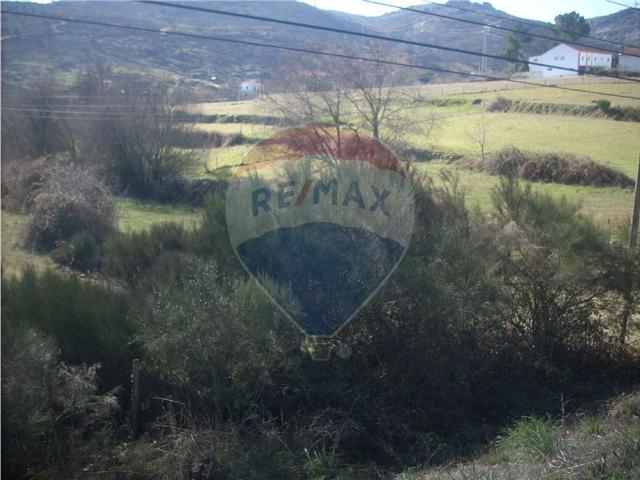 Quinta T0 à venda em Guarda