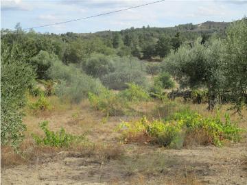 Aldeia de João Pires, Uniao de Freguesias de Aldeia do Bispo Aguas Aldeia de Joao Pires, Penamacor