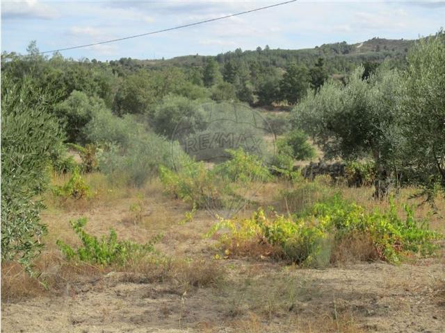 Quinta T0 à venda em Penamacor