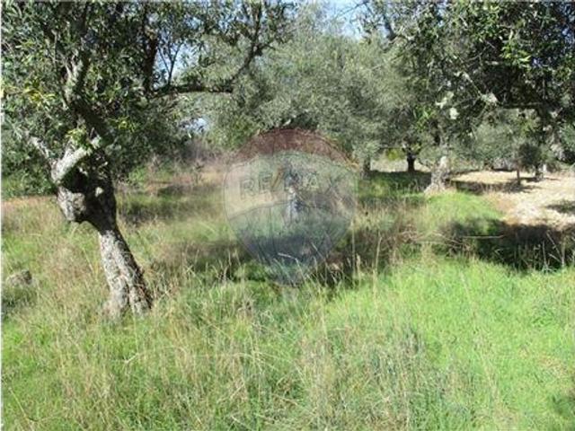 Quinta T0 à venda em Penamacor