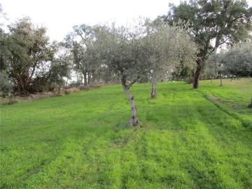 Aldeia de João Pires, Uniao de Freguesias de Aldeia do Bispo Aguas Aldeia de Joao Pires, Penamacor