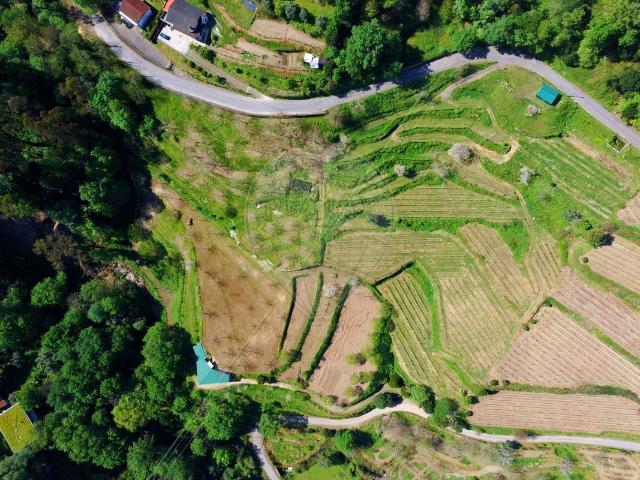 Quinta T0 à venda em Ponte da Barca