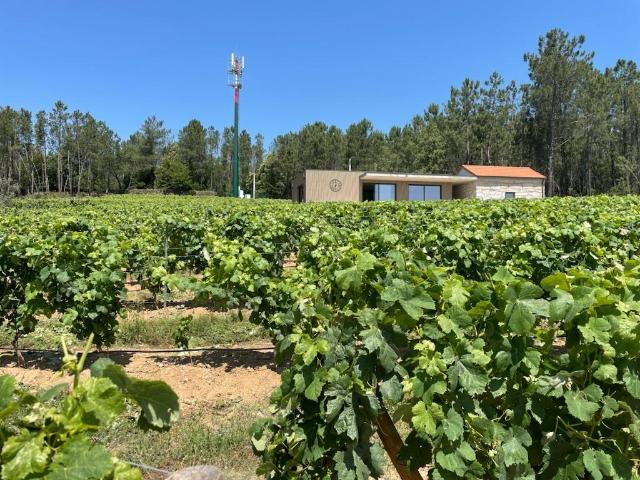 Quinta T0 Venda em Antas e Matela,Penalva do Castelo 25m² Antas e Ourozinho