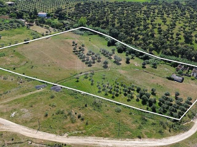 Quinta T10 à venda em Terrugem e Vila Boim, Elvas RE/MAX Portugal