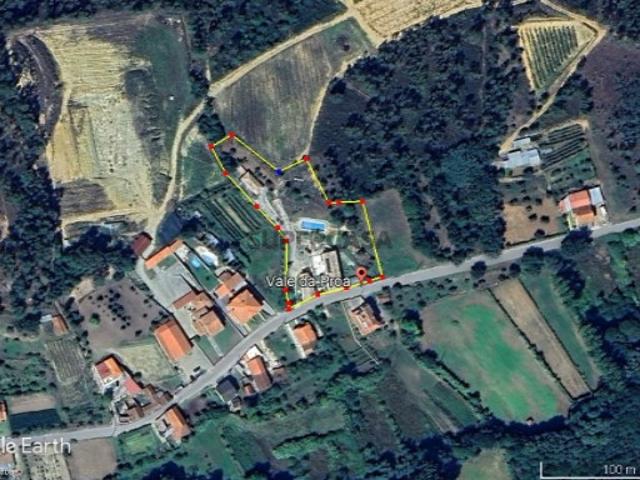 Quinta T10 Semide