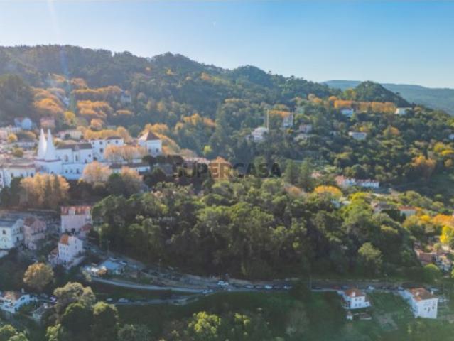 Quinta >=T10 Venda em Sintra Santa Maria e São Miguel, São Martinho e São Pedro de Penaferrim,Sintra