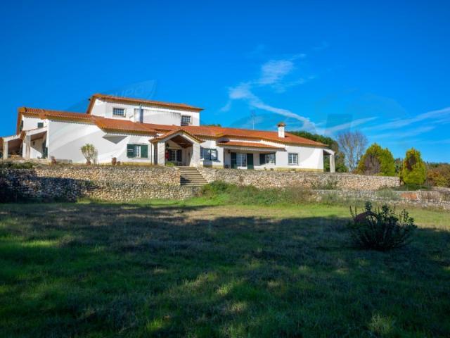 QUINTA T10