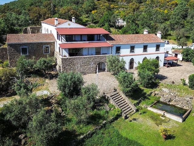 Quinta T11 de luxo à venda em Ribeira de Nisa e Carreiras, Portalegre RE/MAX Portugal