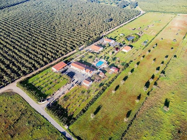 Quinta T12 à venda em Ferreira do Alentejo e Canhestros, Ferreira do Alentejo RE/MAX Portugal