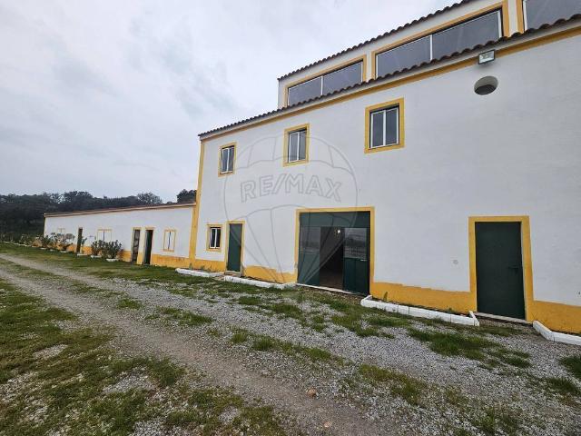 Quinta T13 à venda em Campo Maior