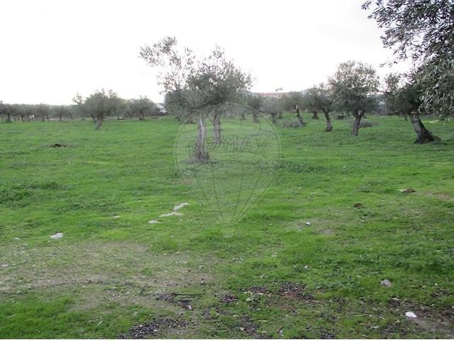Quinta T1 à venda em Castelo Branco, Castelo Branco RE/MAX Portugal
