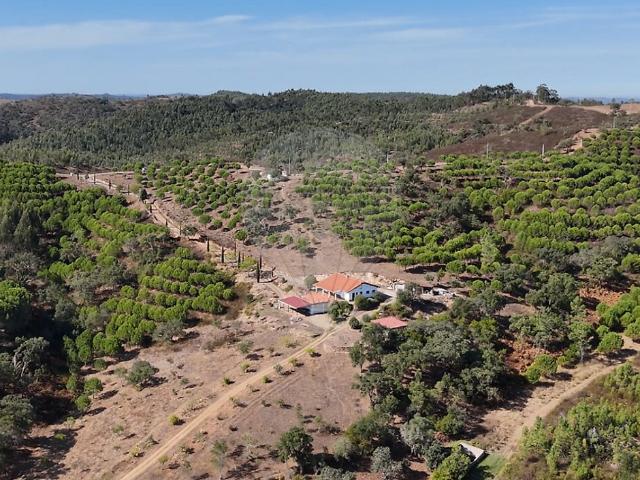 Quinta T1 à venda em Relíquias, Odemira RE/MAX Portugal