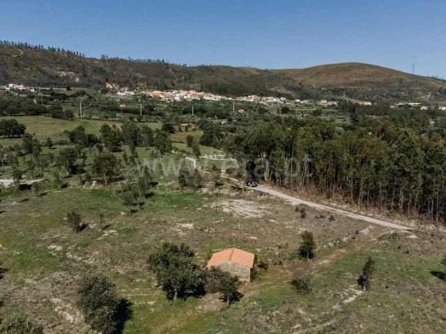 Quinta T1 / Fundão, Monte Leal