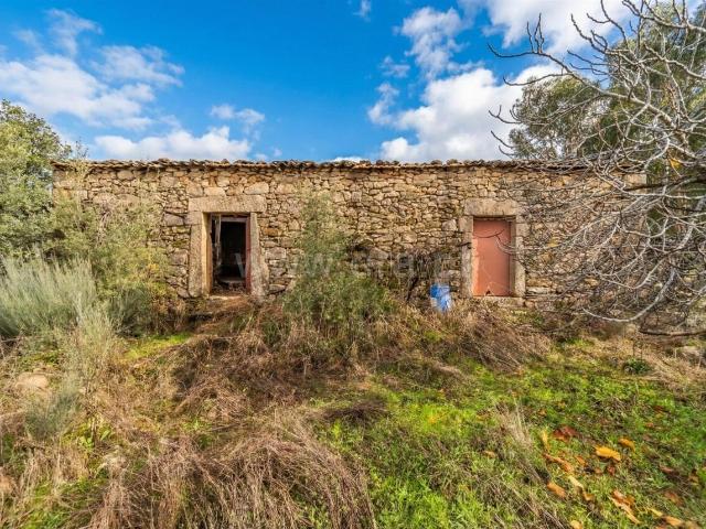 Quinta T1 / Fundão, Póvoa da Palhaça