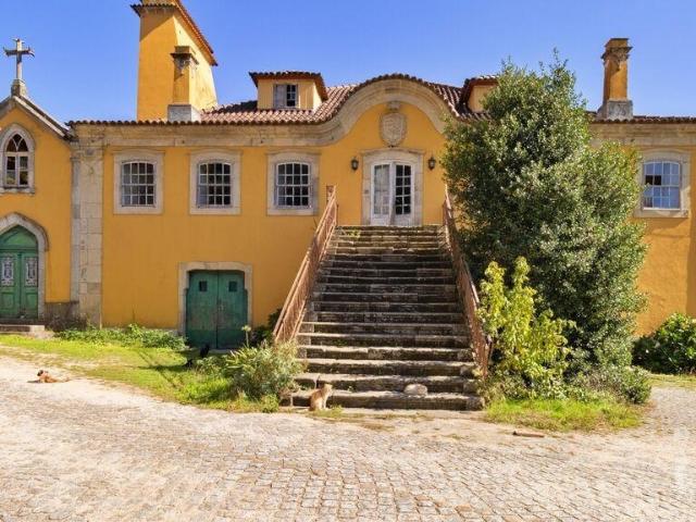 Quinta T20 em Constance de 1885,00 m²