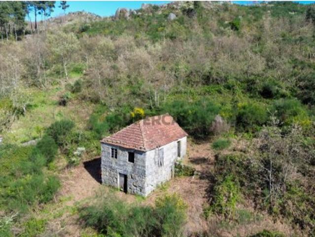 Quinta T2+1 Venda em Gestaçô,Baião